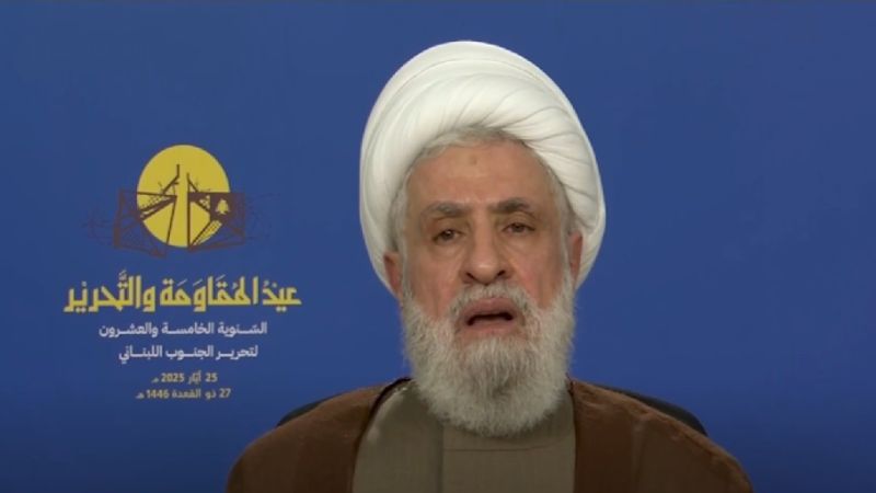 الشيخ قاسم: عيد المقاومة والتحرير توج مكانة لبنان في المنطقة والعالم